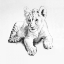 Picture of LION