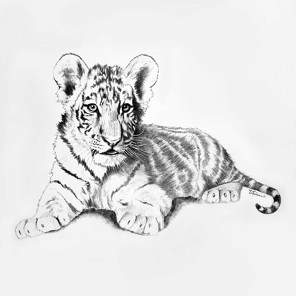Picture of TIGER