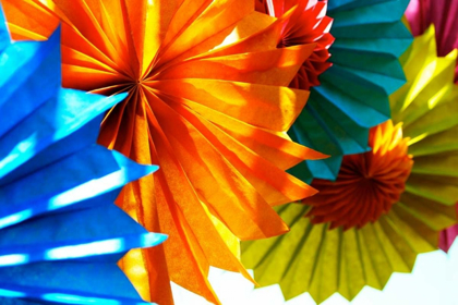 Picture of PAPER FLOWERS