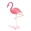 Picture of FLAMINGO WALK II