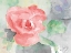 Picture of PINK FLOWER