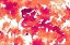 Picture of SPLASH OF PINKS IN FALL II