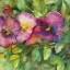 Picture of ORCHID GARDEN