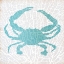 Picture of SEALIFE ON CORAL II