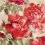 Picture of RED MODERN PEONIES II