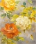 Picture of BEAUTY OF THE BLOSSOM