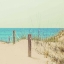 Picture of BEYOND THE HORIZON II