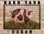 Picture of FARM PIG