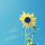 Picture of HELLO SUNSHINE