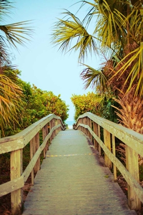 Picture of PALM WALKWAY I