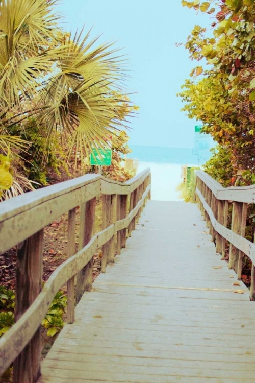 Picture of PALM WALKWAY II