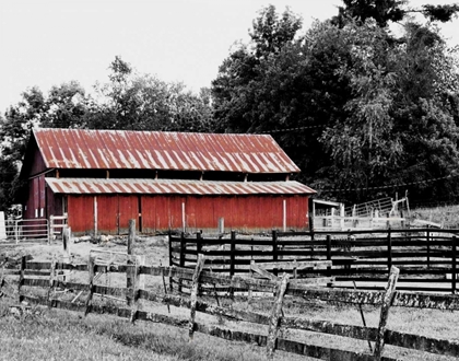 Picture of BW RUSTIC BARN