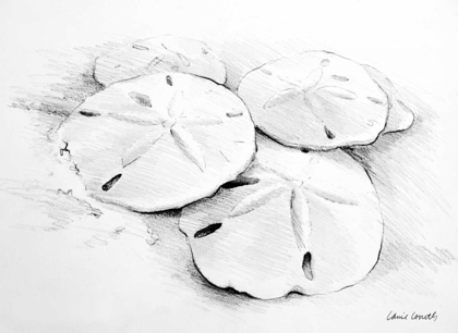 Picture of SAND DOLLAR I