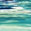 Picture of BLUE COLOR STUDY II