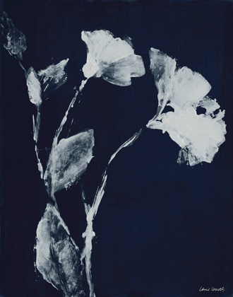 Picture of FLORAL WHISPER IN THE DARK II