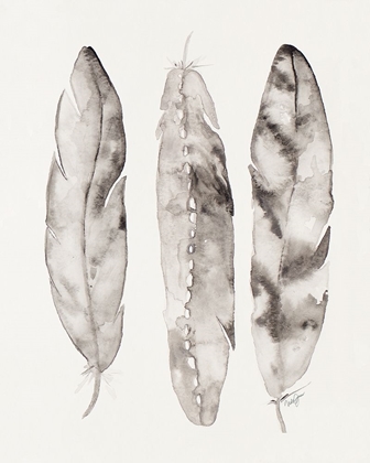 Picture of THREE GRAY FEATHERS