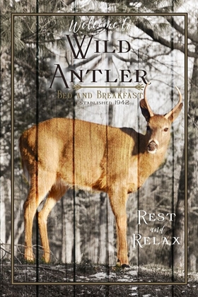 Picture of WILD ANTLER