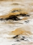Picture of GOLD TOUCH I
