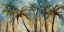 Picture of ISLAND MORNING PALMS