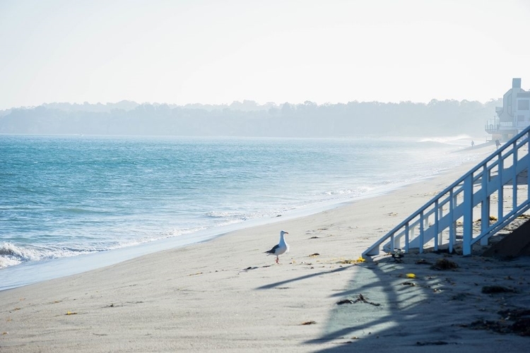 Picture of BEACH STROLL