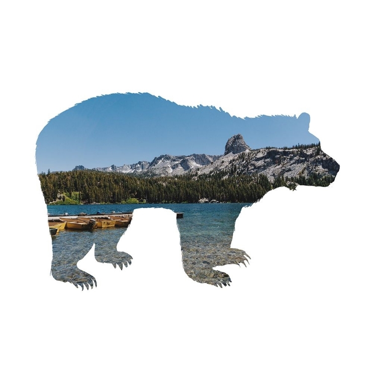Picture of LAKE SCENERY BEAR