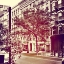 Picture of DOWNTOWN BORDER