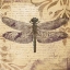 Picture of DRAGONFLY