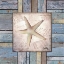 Picture of BEACH SHELL IV