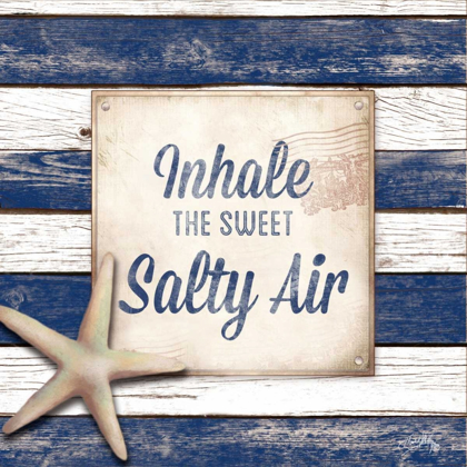 Picture of SALTY AIR