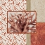 Picture of CORAL BRANCH II