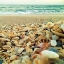 Picture of SHELLS BEACH I
