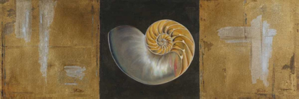 Picture of SEASHELLS II