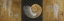 Picture of SEASHELLS II