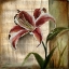 Picture of VINTAGE STUDIO I