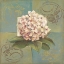 Picture of HYDRANGEAS ON GREEN II