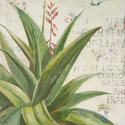 Picture of ALOE II