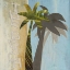 Picture of THE BEACH