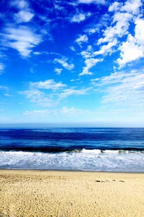 Picture of THE OCEAN IS BLUE