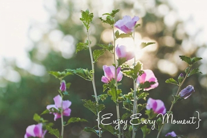 Picture of ENJOY EVERY MOMENT