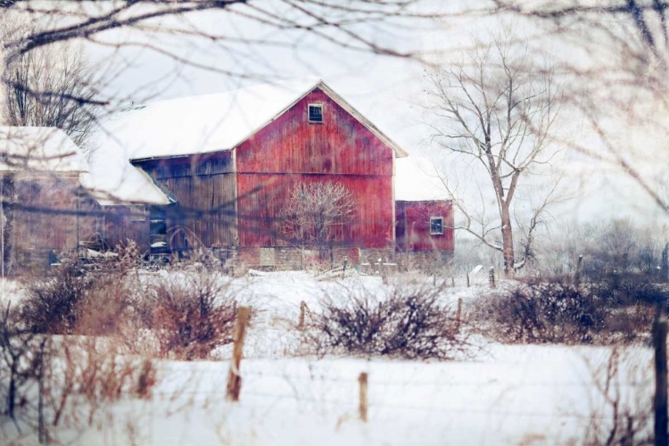 Picture of WINTER BARN