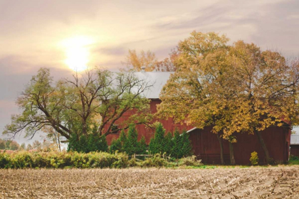 Picture of MY RED BARN