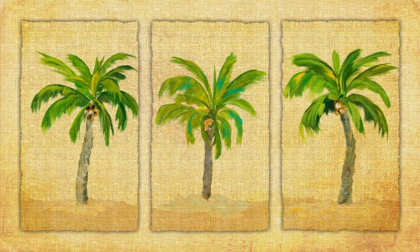 Picture of PALM TRIO