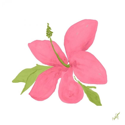 Picture of PINK HIBISCUS