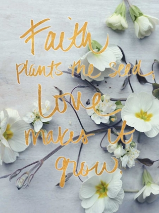 Picture of FAITH PLANTS THE SEED