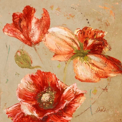 Picture of DANCE OF POPPIES I