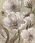 Picture of SCRIPTED BEAUTY II