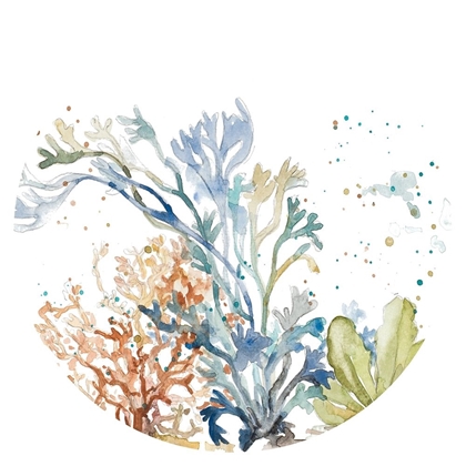 Picture of UNDER THE SEA PLANTS ROUND