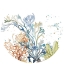 Picture of UNDER THE SEA PLANTS CIRCLE