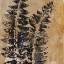 Picture of WATERCOLOR LEAVES SQUARE III