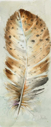 Picture of WATERCOLOR FEATHER III